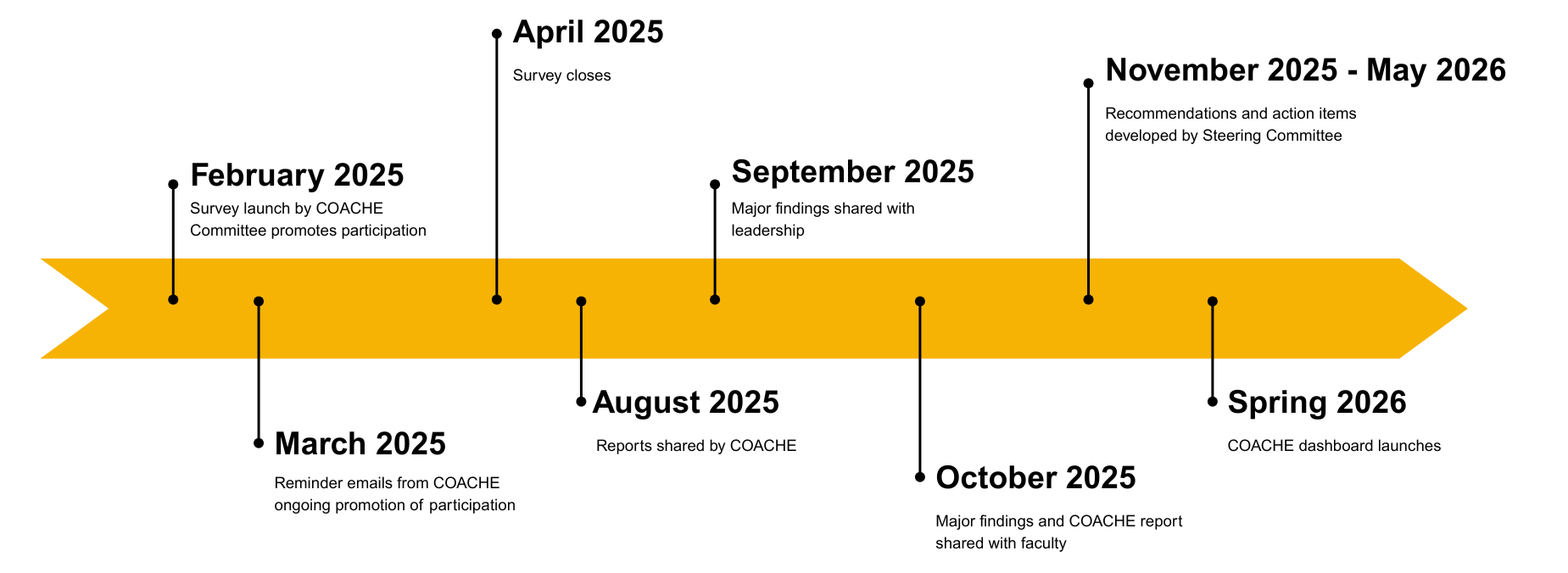 COACHE Project timeline, full text below