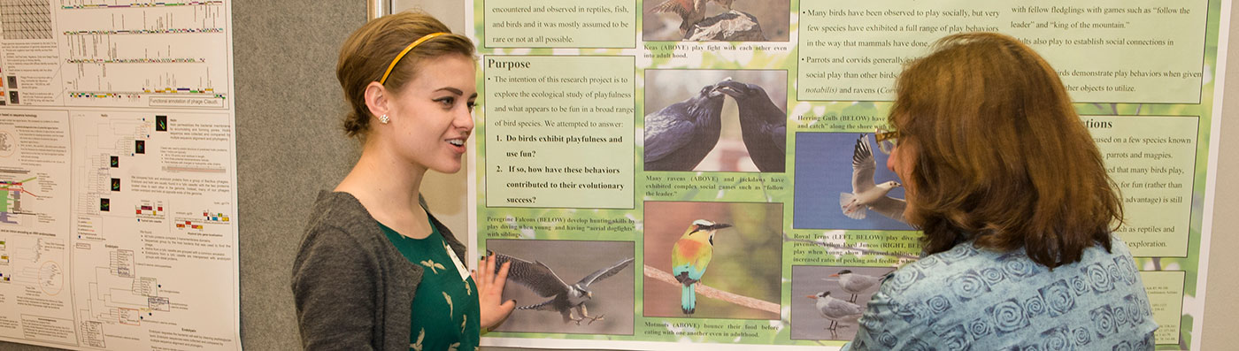 Student presenting a research poster